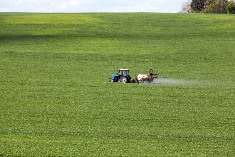 Zéro pesticide en 2050 : les politiques européennes nécessitent des « transformations », pour les chercheurs