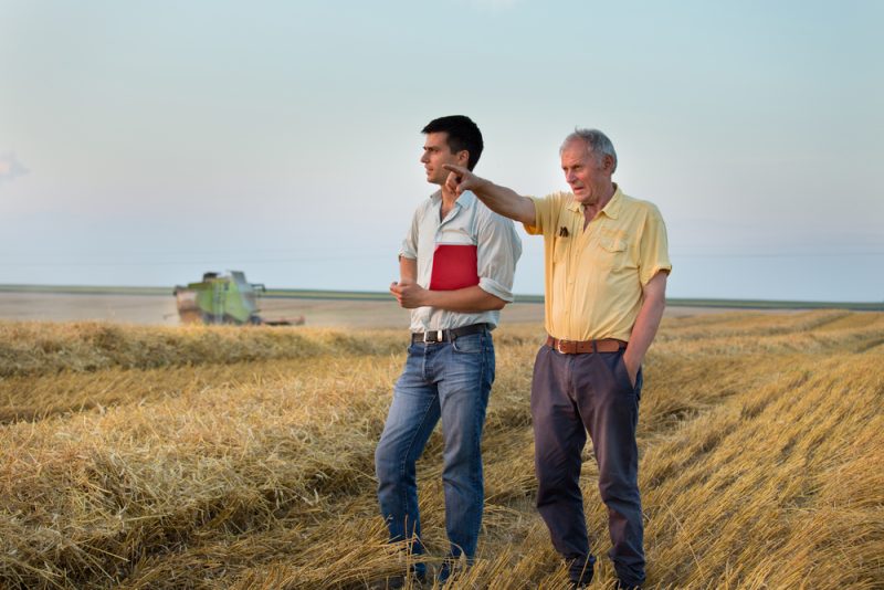 Fin des aides PAC après 67 ans : une mesure « discriminatoire » pour certains agriculteurs