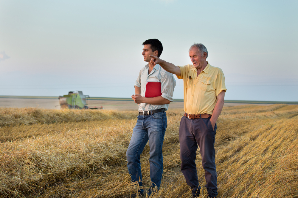 Two,Farmers,Standing,On,Wheat,Field,At,Harvest