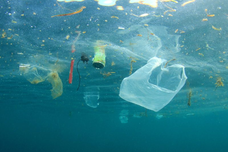 Protection de la haute mer : la France salue un "accord historique" à l'ONU