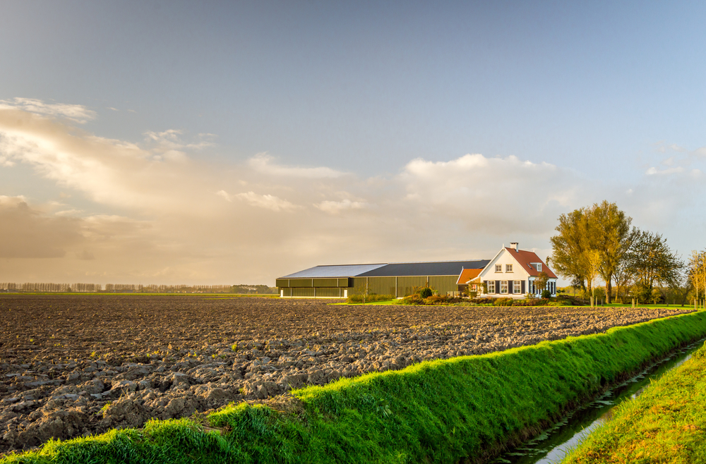 Modern,Dutch,Farmhouse,With,Barns,In,Late,Afternoon,Light,On