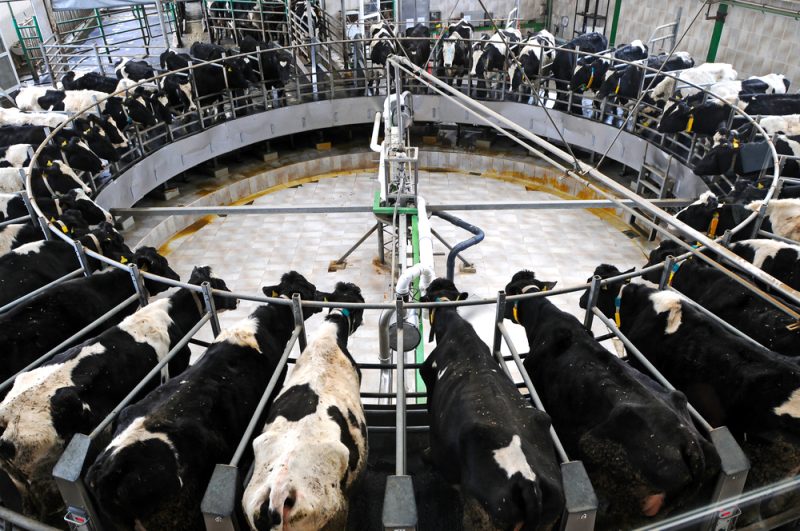 Émissions industrielles : la proposition du Conseil de l'UE critiquée par les acteurs de l’agroalimentaire