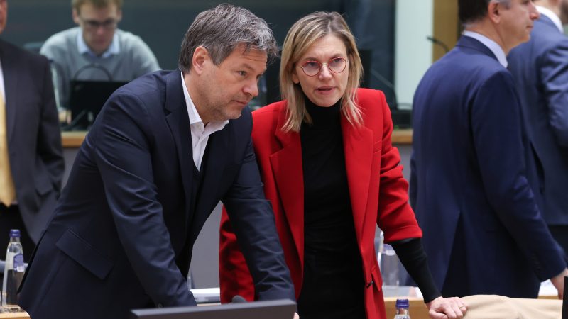 Énergies propres : le couple franco-allemand doit cesser d'envoyer des signaux contradictoires