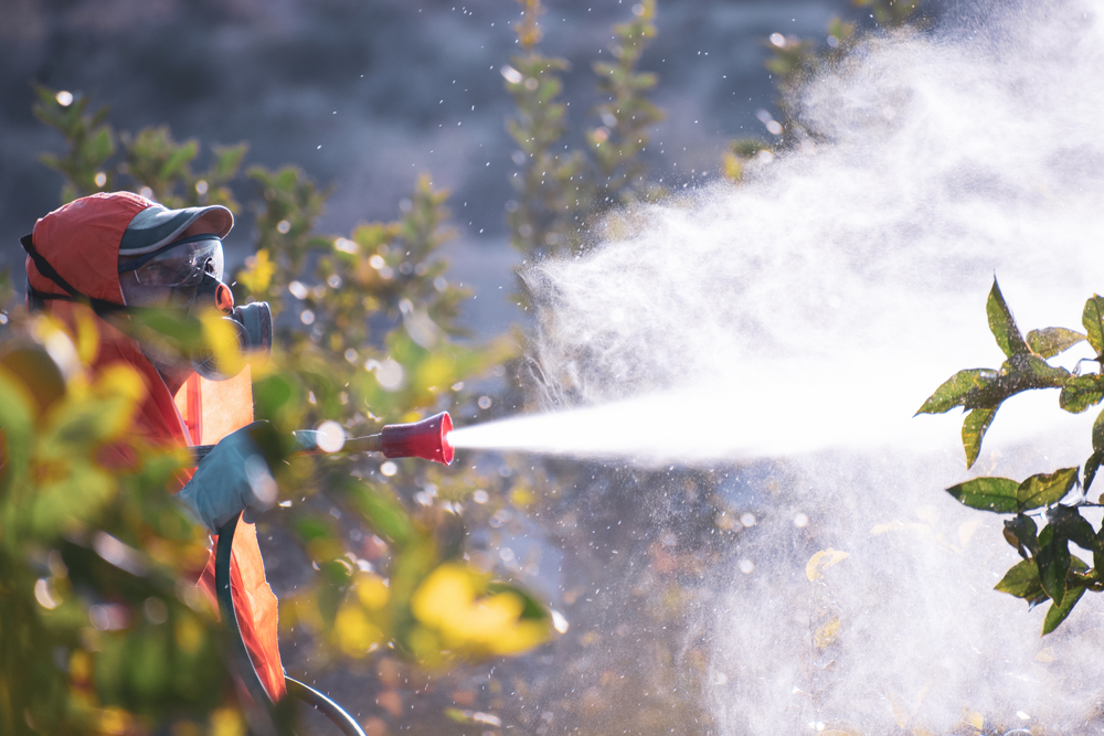 Spray,Pesticides,,Pesticide,On,Fruit,Lemon,In,Growing,Agricultural,Plantation,
