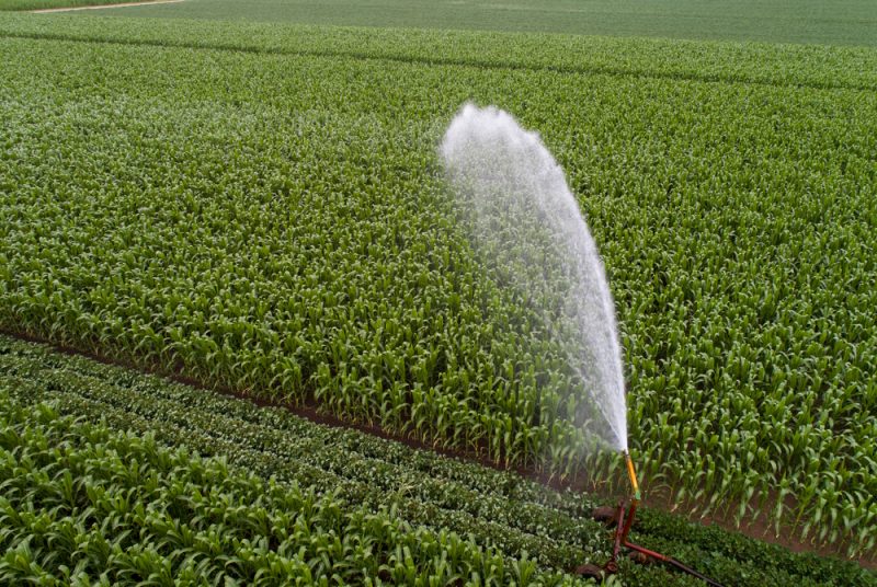 Plan eau : la FNSEA et d’autres représentants saluent la stabilisation des prélèvements pour l’agriculture
