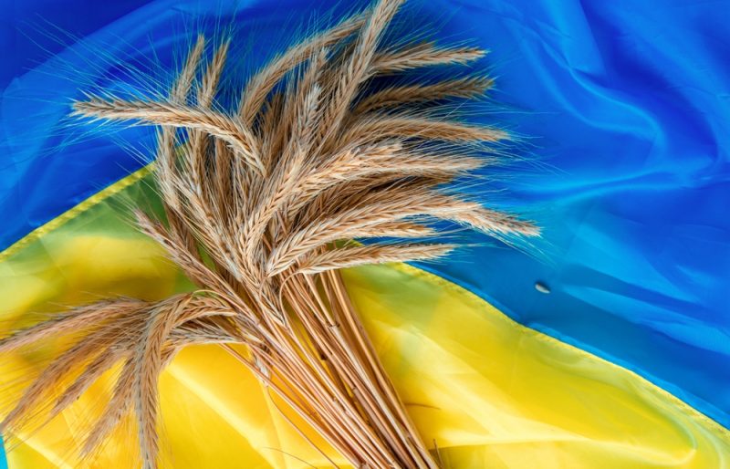 L’UE s'efforce de résoudre le conflit à l’égard des céréales ukrainiennes