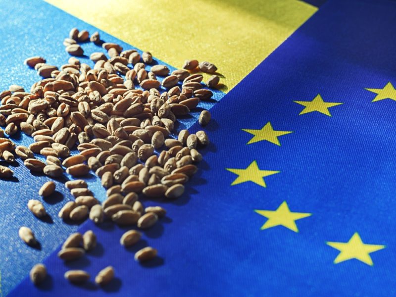 Des associations agroalimentaires demandent à l’UE de réintroduire les droits de douane sur les céréales ukrainiennes