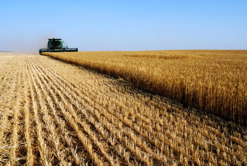 Les agriculteurs polonais menacent de perturber la visite de Volodymyr Zelensky