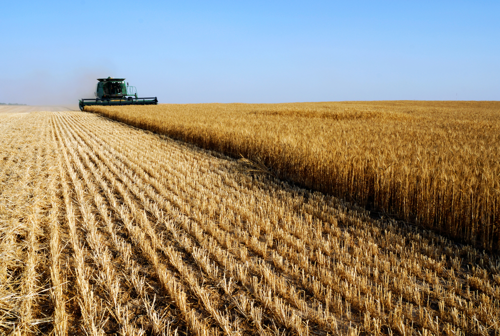 Combine,Harvesting