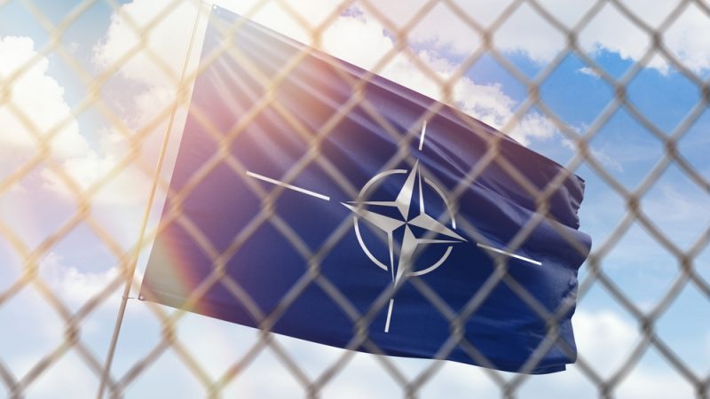 Une majorité d’Autrichiens s’oppose à l'adhésion à l’OTAN, selon un sondage