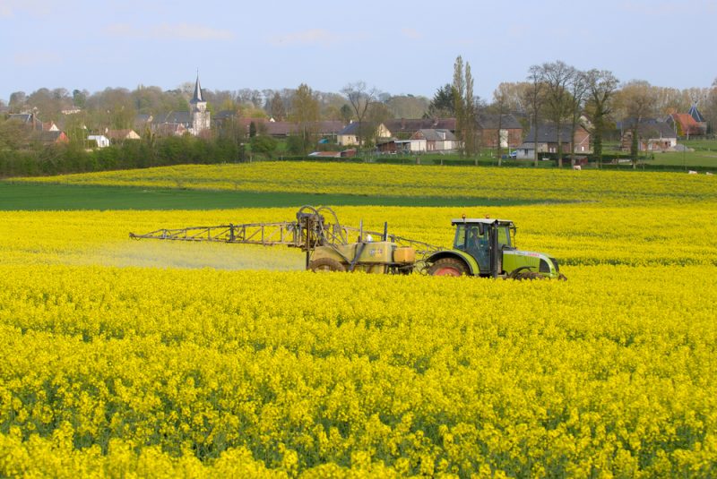 La France « championne » des pesticides en Europe, selon des ONG