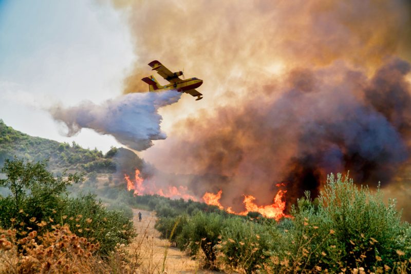Lutte contre les incendies : l'UE a doublé ses capacités en prévision d'un été « intense »