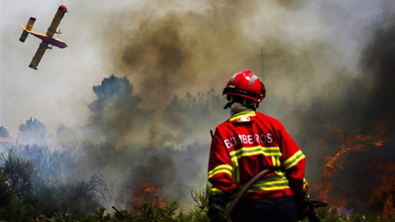 Le Portugal parmi les pays les plus touchés par les feux de forêt en 2022