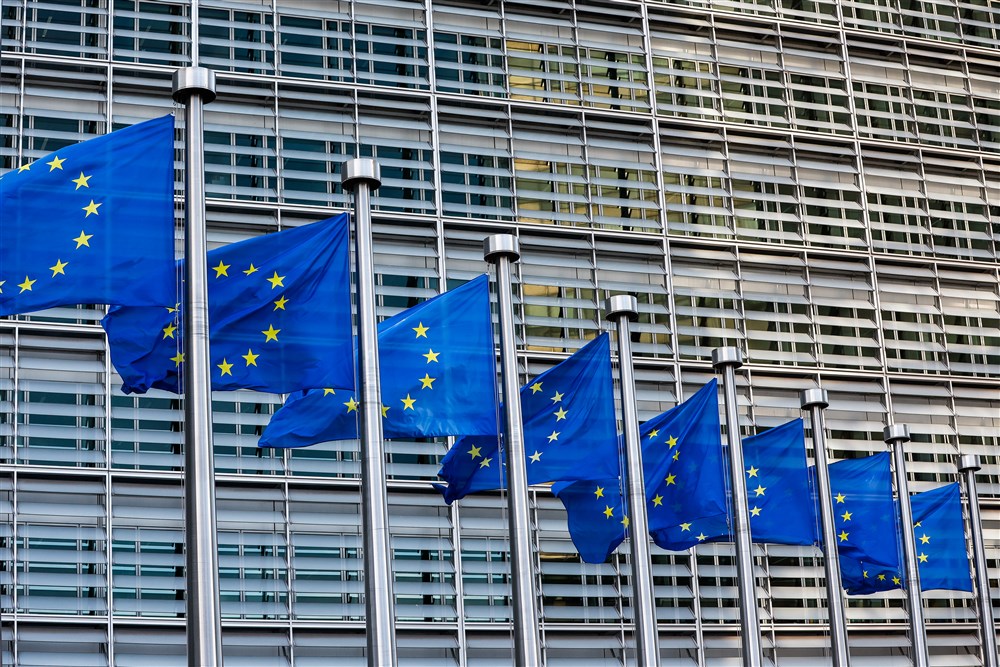 EU flags