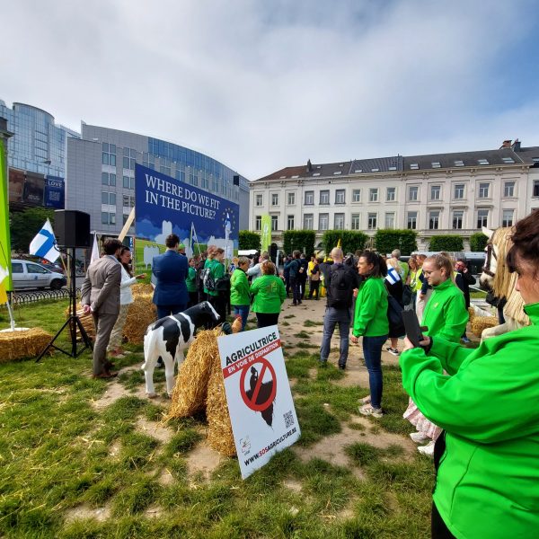 Les agriculteurs et les groupes environnementaux s’affrontent sur la restauration de la nature