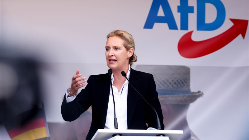 L’extrême droite allemande vise la chancellerie