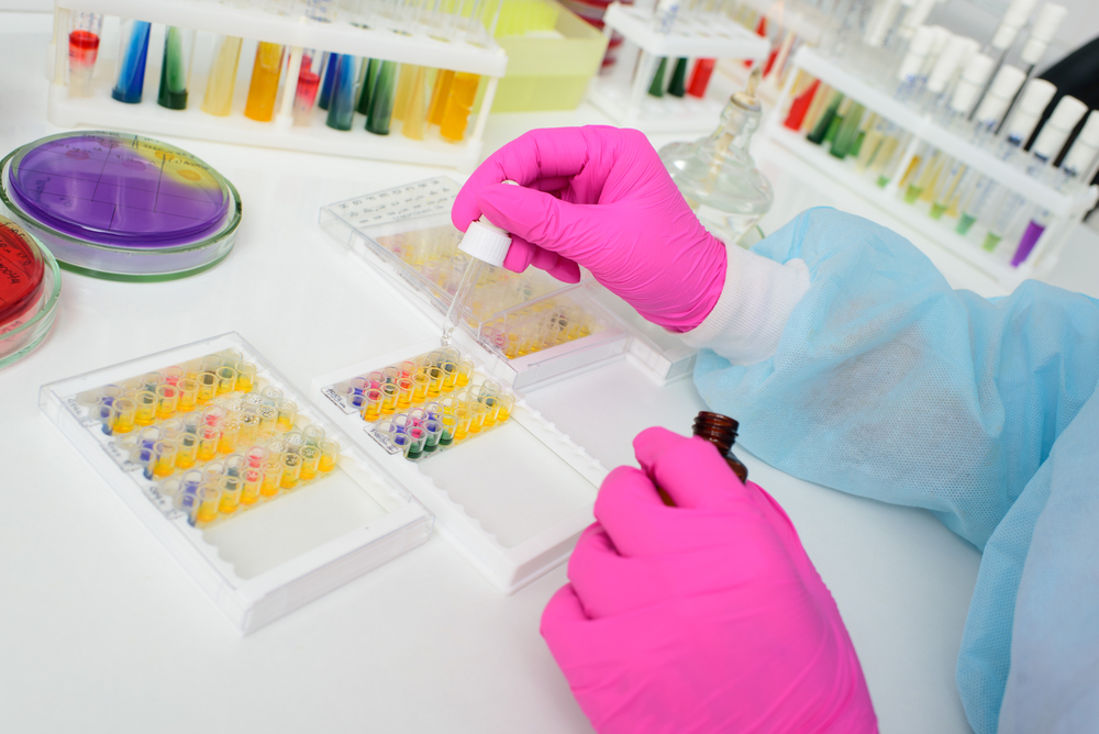 A,Researcher,Fills,A,Petri,Dish,With,A,Layer,Of