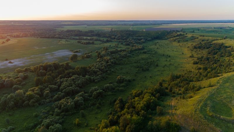 Biodiversité : 11 États membres de l’UE appellent à débloquer un texte clé du Pacte vert