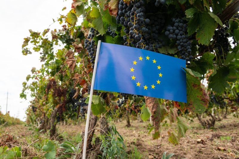 Pour le Parlement européen, les dénominations de produits doivent rester sous le contrôle de la Commission