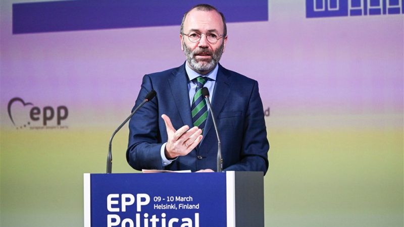 Le président du PPE Manfred Weber désigne le parti d’extrême droite allemand AfD comme « ennemi principal »