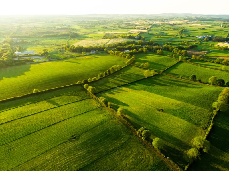 Sécurité alimentaire : la Commission ignore si d’autres dérogations environnementales porteraient leurs fruits