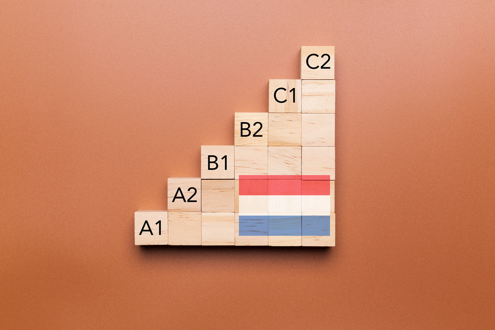 Wooden,Cubes,With,Language,Levels,,Concept,Of,Learning,And,Improvement.