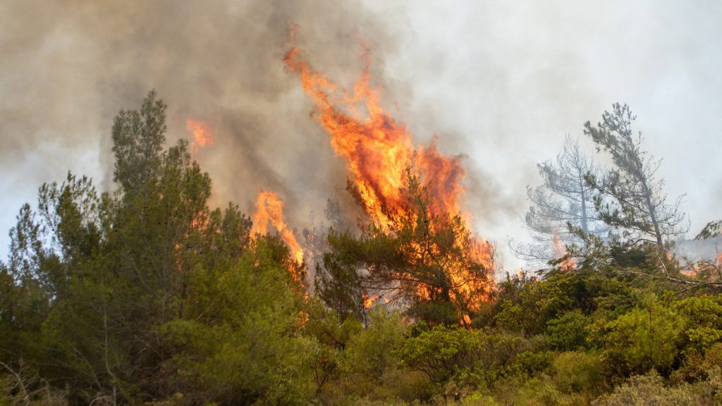 wildfire