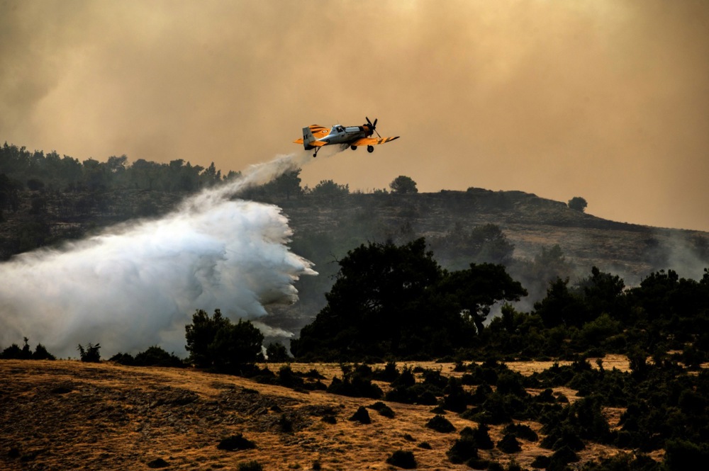 Wildfire in Dadia National Park in Evros