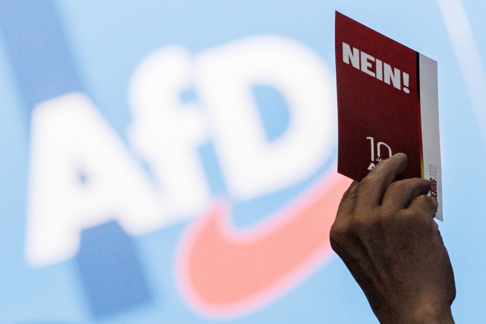 The Alternative for Germany (AfD) holds party convention in Magdeburg