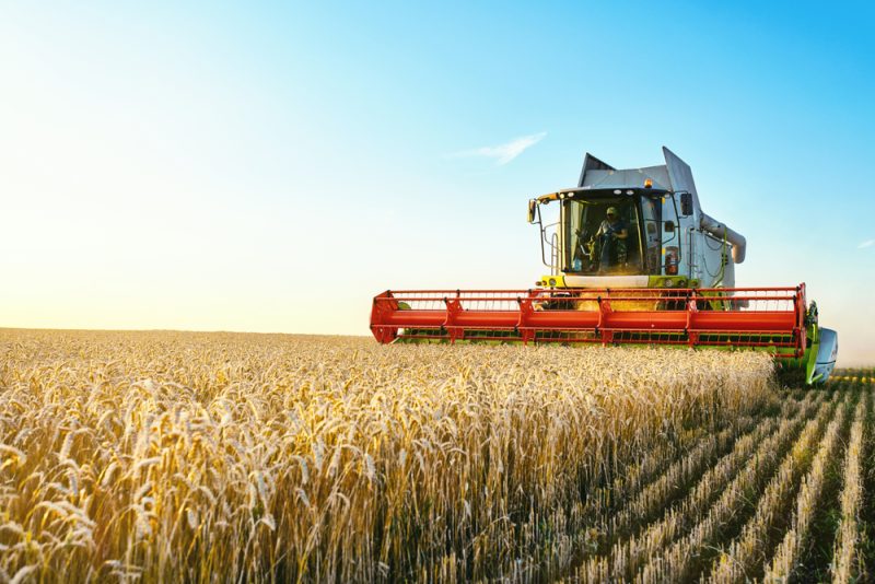 Moisson de blé 2023 : un volume préservé malgré des retards et des exportations embouteillées