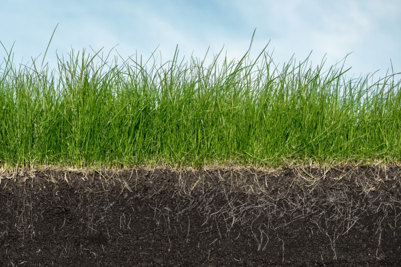 Agriculture : des eurodéputés veulent rémunérer les absorptions de carbone