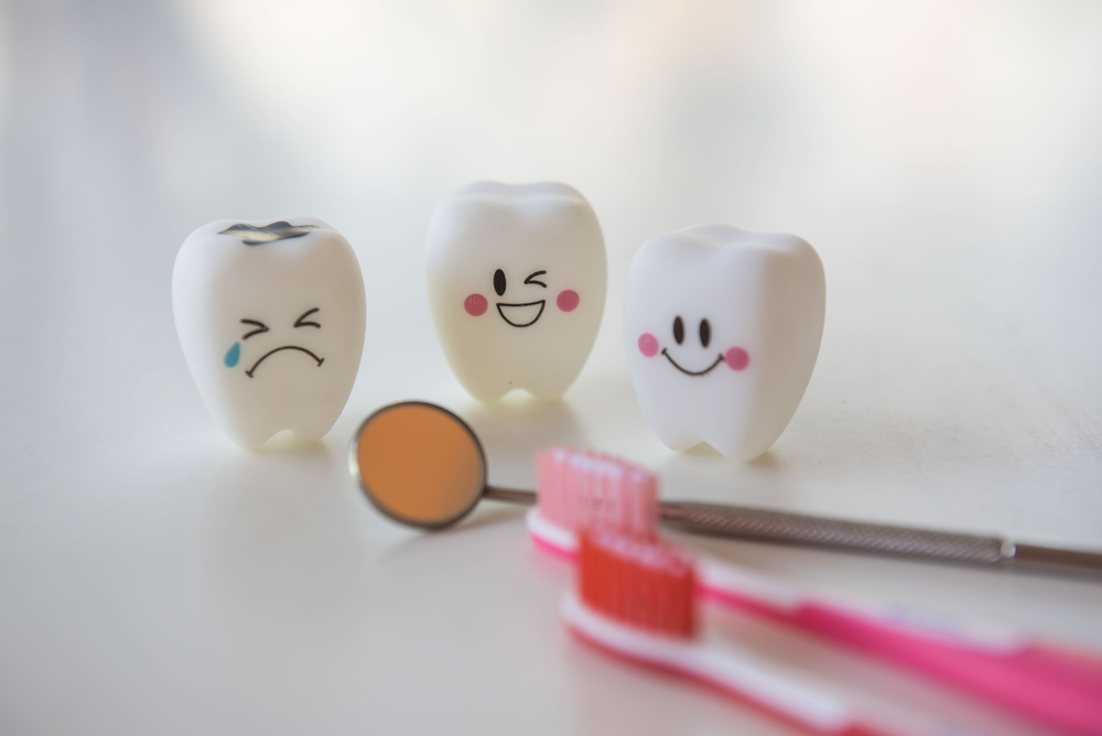 Model,Toys,Teeth,In,Dentistry,On,A,White,Background.