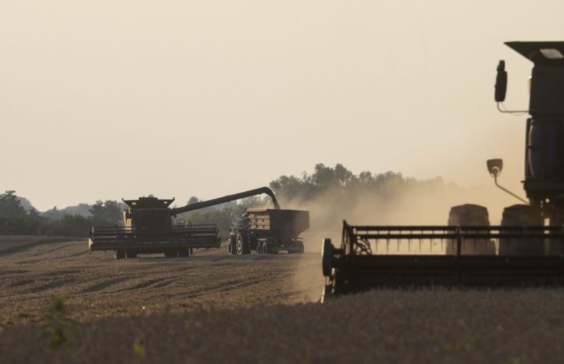 Importations des céréales ukrainiennes : Kiev lance un appel de dernière minute à l’UE