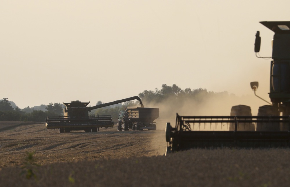 Importations des céréales ukrainiennes : Kiev lance un appel de dernière minute à l’UE