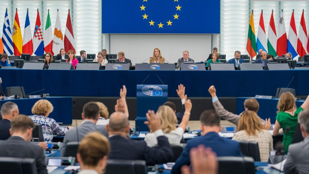 EP Plenary session- Votes