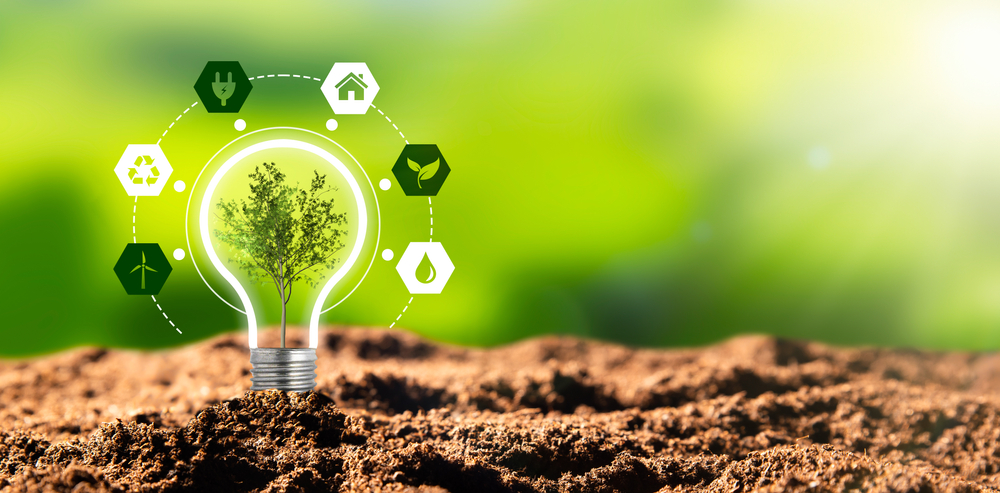 Environmental,Protection,,Renewable,,Sustainable,Energy,Sources.,Plant,Growing,In,The
