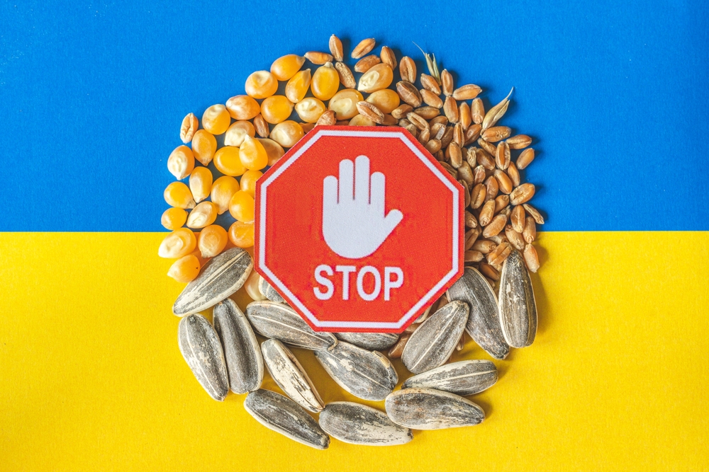 Wheat,Grains,,Corn,And,Sunflower,Seeds,On,The,Yellow,And
