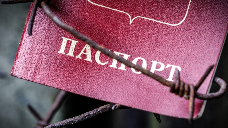 shutterstock_2314608831-e1693804324897-800×450