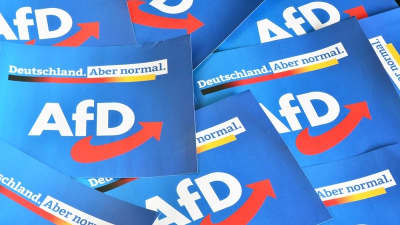 CV truqués : malgré le scandale, l'extrême droite allemande continue sa campagne pour les Européennes
