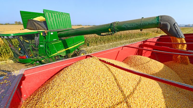 Les agriculteurs bulgares font pression pour interdire les importations de céréales ukrainiennes