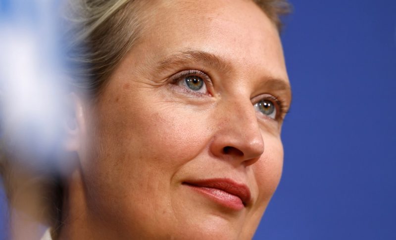 L’extrême droite allemande espère obtenir des responsabilités gouvernementales, après son succès aux élections