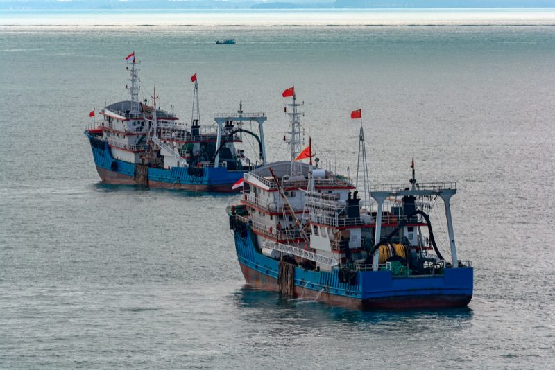 Pêche illégale : « Nous devons entrer dans un rapport de force avec la Chine », selon l'eurodéputé Pierre Karleskind