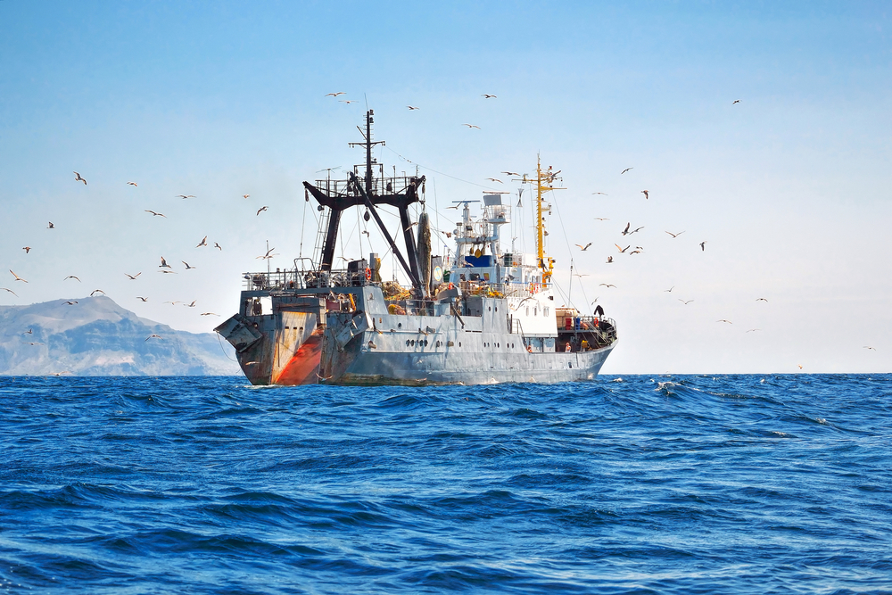Fishing,Seiner