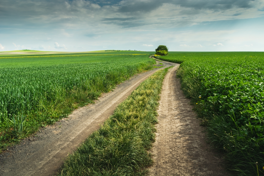 L&rsquo;OCDE alerte sur le décalage entre ambitions et résultats en matière d&rsquo;agriculture durable