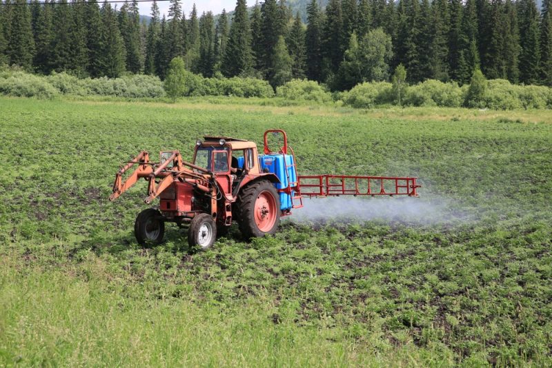 La Commission européenne devrait revoir sa proposition de renouvellement de l’autorisation du glyphosate