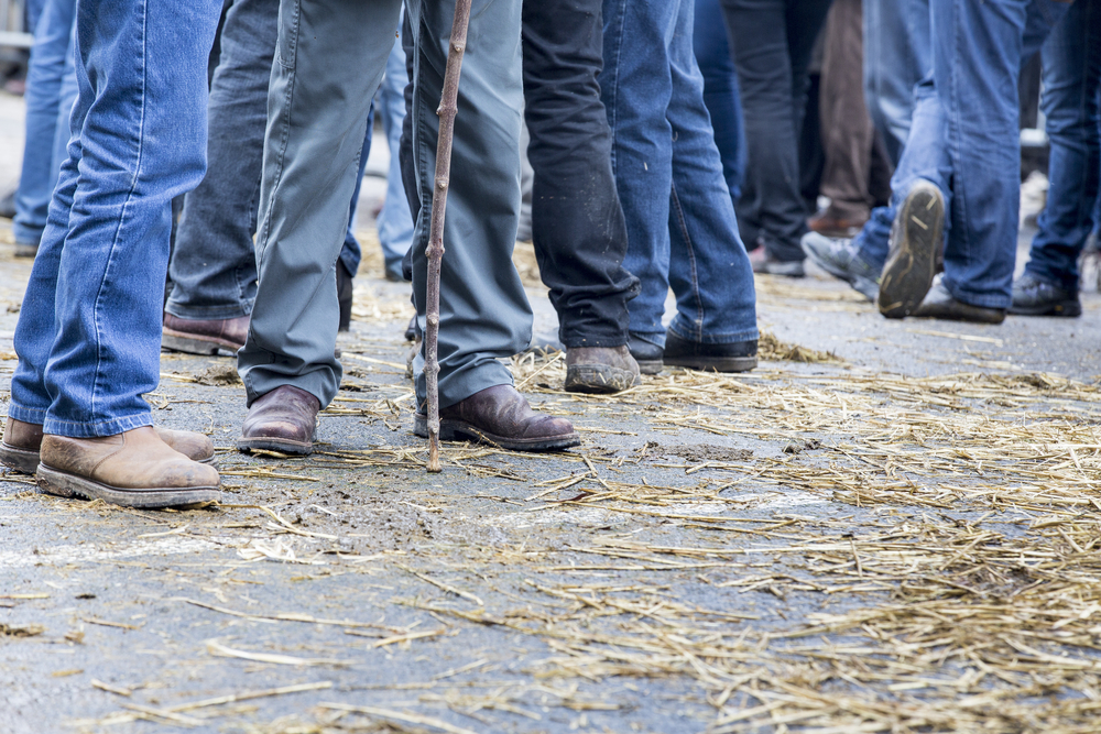 PAC : les agriculteurs bretons s&rsquo;insurgent contre la baisse des aides environnementales