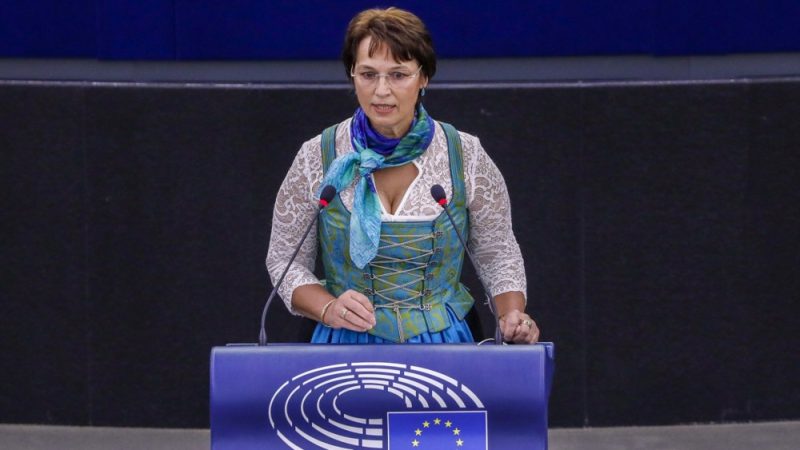 Un parti régional allemand entend utiliser les élections européennes comme tremplin pour les élections nationales