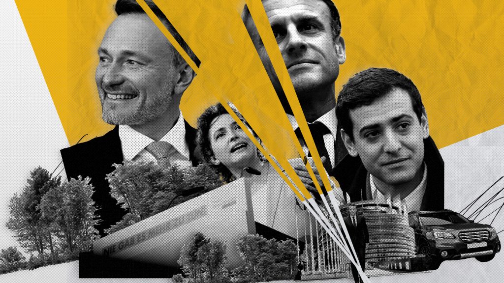 Cover_EURACTIV_FDP_Renew 5