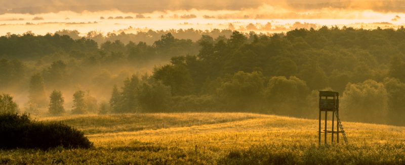Une liste défendant la chasse et la ruralité aux élections européennes