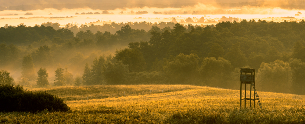Hunting,Tower,In,The,Valley,In,The,Morning,Mists